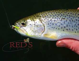 Fjord Fly Fishing and Red's Fly Shop