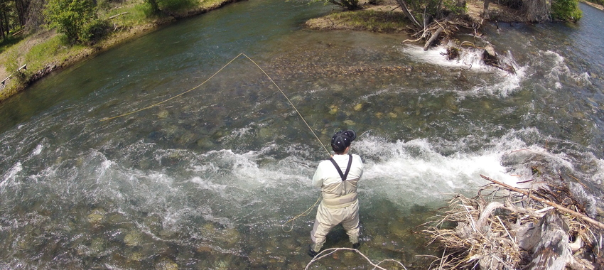 Deadline Extended!  Support the Naches River