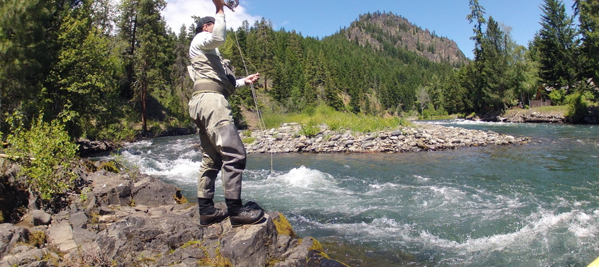 Yakima River Fishing Reports > Red's Fly Shop