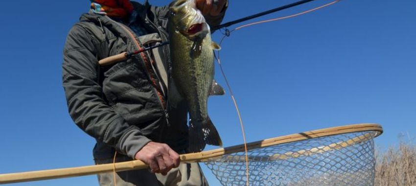 River Report, Forecast and Bass Fishing