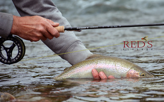 Yakima River Fishing Reports > Red's Fly Shop