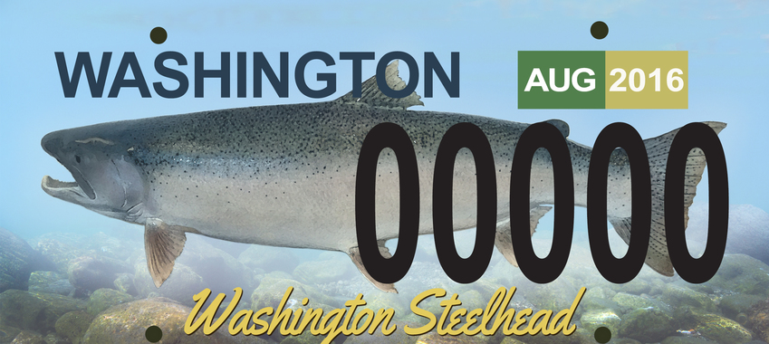 Sign the Petition for a NEW Steelhead License Plate