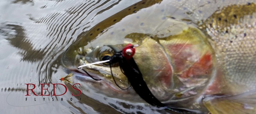 Smart Spey Fishing Tips - Unfurl Short First, Long Second