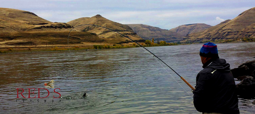 Spey Fishing on the Grande Ronde and Snake Rivers
