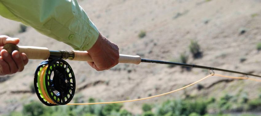 Switch, Spey, and Shooting Head Line Systems Explained