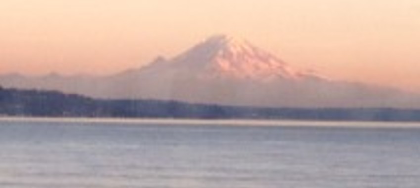 Think Pink!  6.8 Million Reasons to Love the PNW