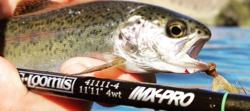 Trout Spey Podcast with Tom Larimer