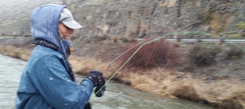 Yakima River Fishing Report