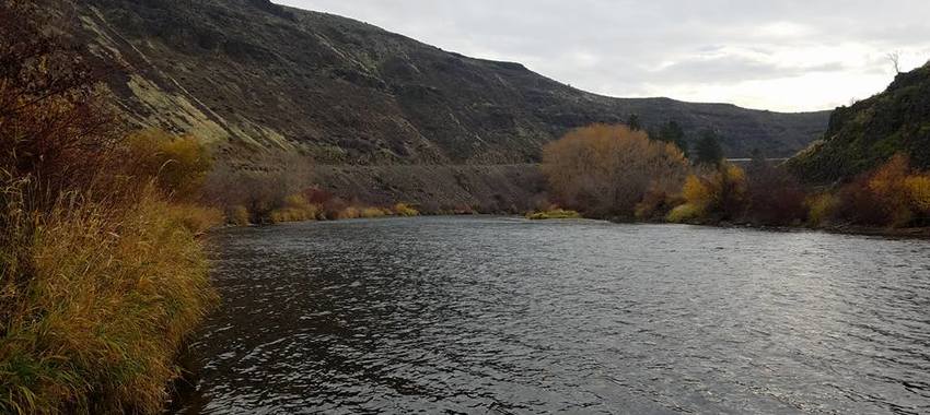 Yakima River  Fishing Report